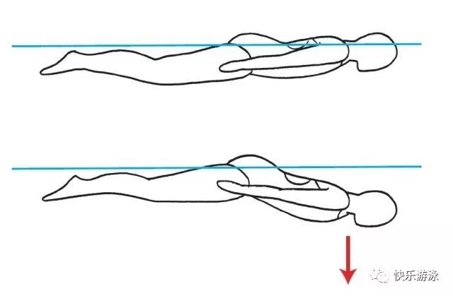 【蝶泳技巧】身姿练习让你的泳姿更加出众!