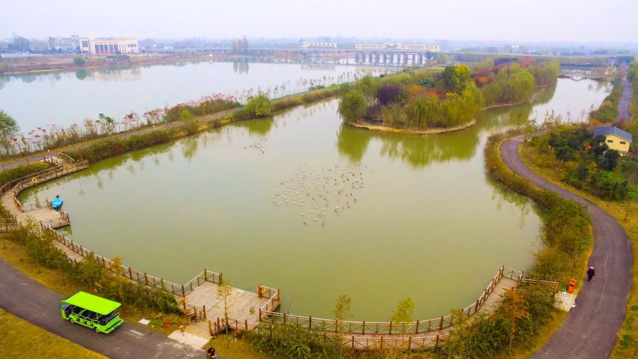 台儿庄双龙湖湿地图片