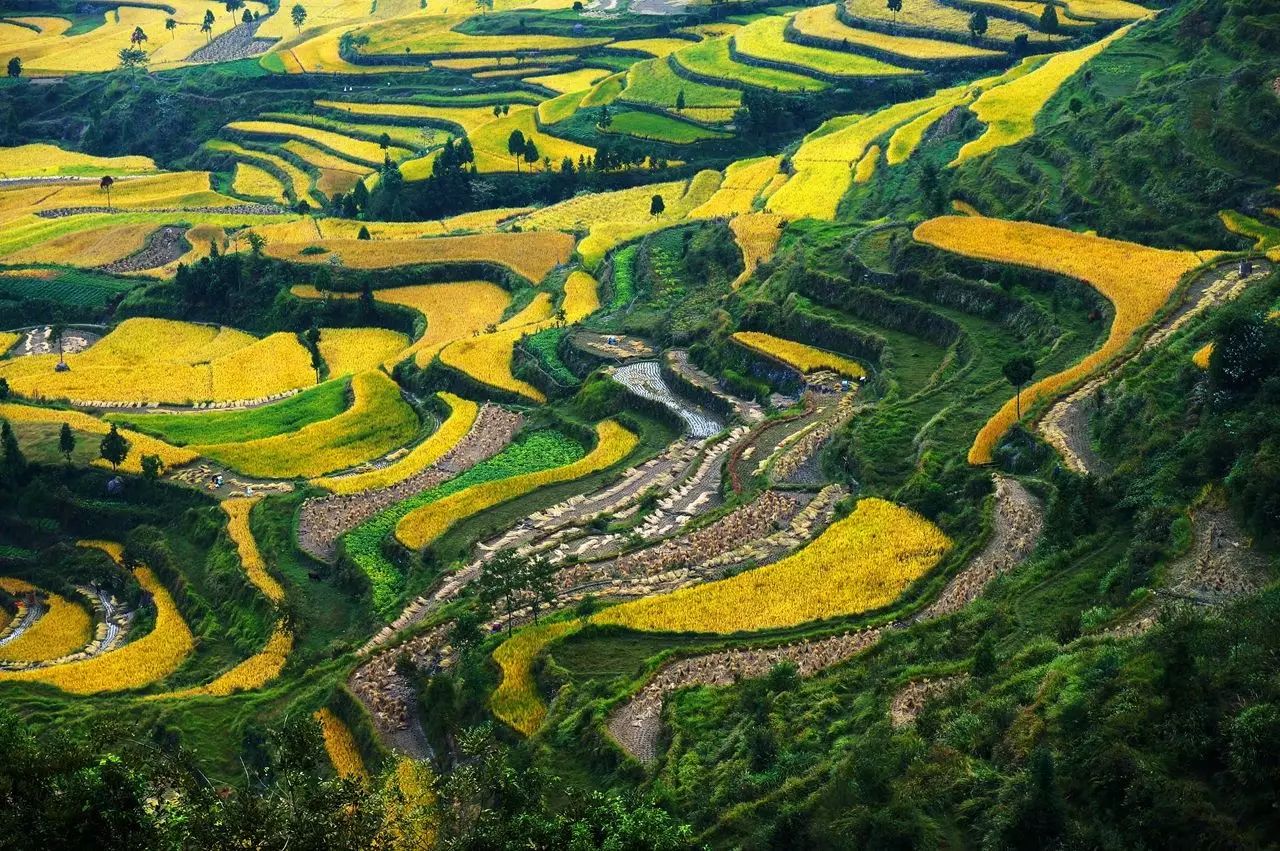 顺坡垄梯田图片