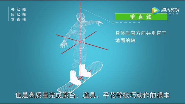 矢状轴 冠状轴 垂直轴图片