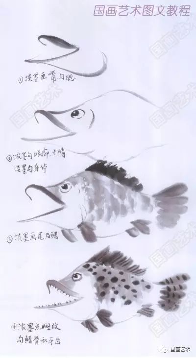 鳜鱼的画法