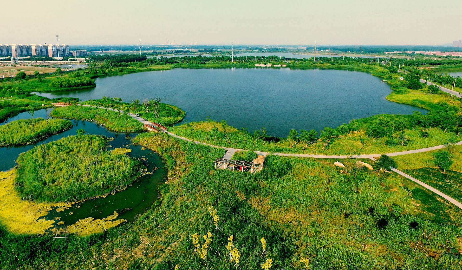 徐州九里湖获批国家湿地公园你想去看看吗