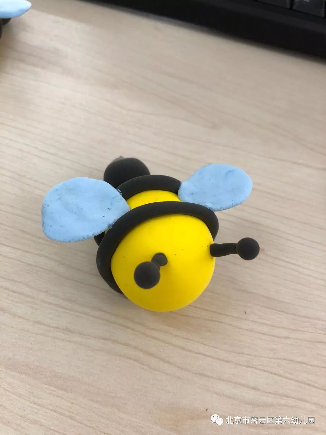 【童心童梦】——可爱的小蜜蜂