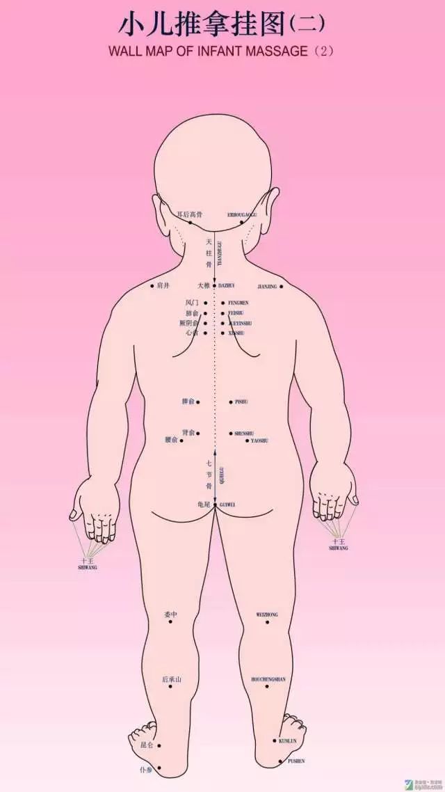 贝可婴用推拿中医特色诊疗手法小儿推拿