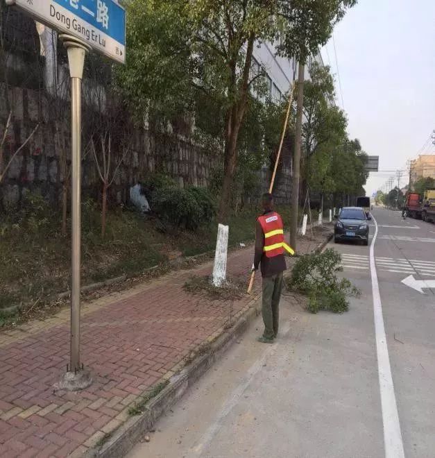 樹木塗白,清理落葉,冬季養護正當時