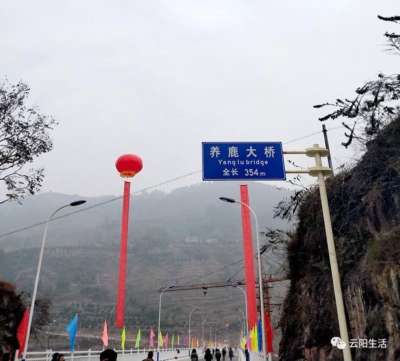 好消息雲陽養鹿小江大橋終於通車啦