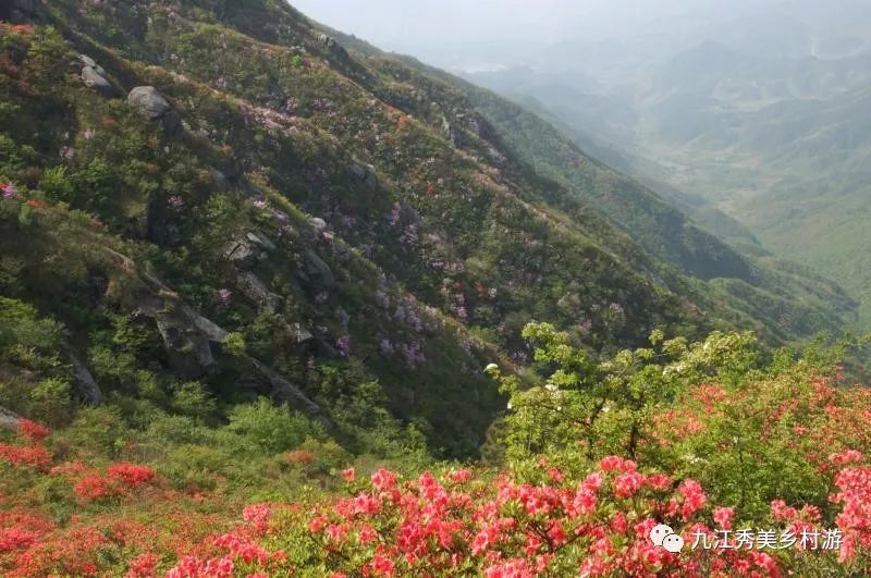 路線九江市——修水縣黃龍山(自駕遊,時長:4小時3分鐘 ,路程:296.