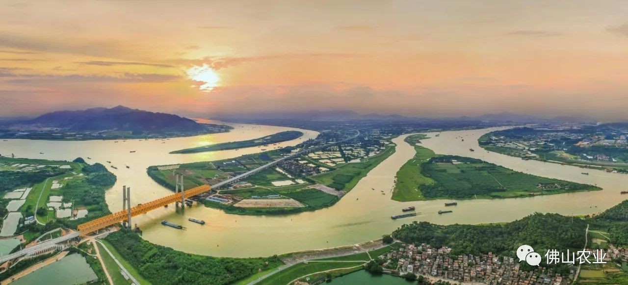 除了開闊的綠意水色,變幻的光彩美景,雲東海北部周邊還是廣東省立綠道