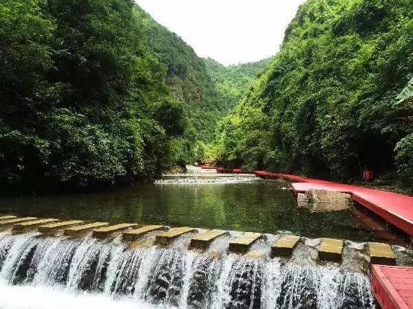 背面水錦溪河貫穿而過有一處令人驚歎的山水畫卷在離南寧不遠的大明山