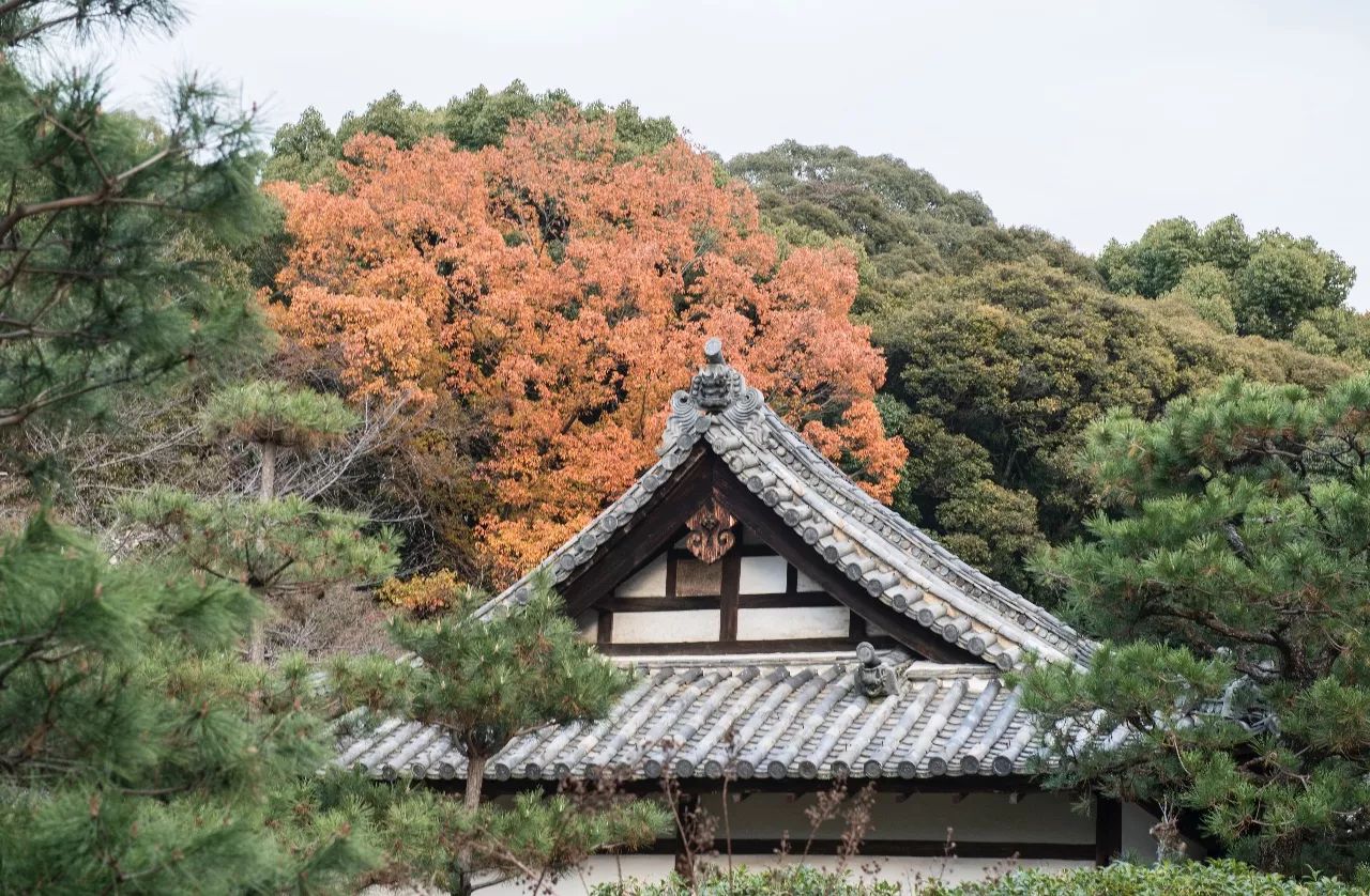 日本京都万福寺图片