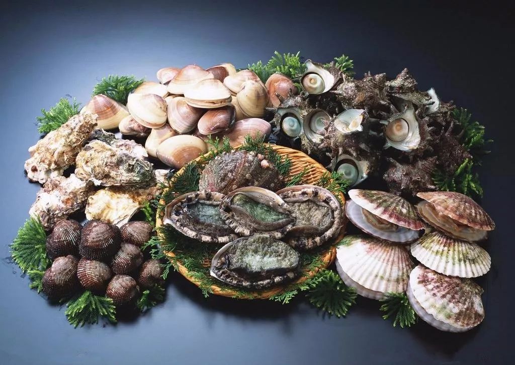 海鲜品种 常见图片