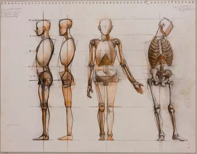 人体雕塑结构面图片