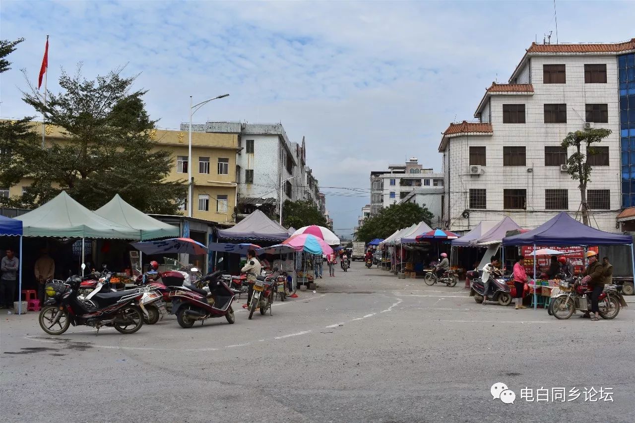 【马踏【岭门【树仔【麻岗【旦场【博贺【电城【七迳