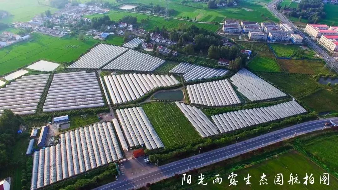 阳光雨露生态园图片