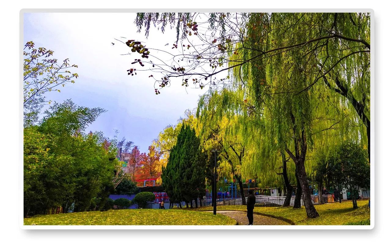 秋天的塔山公園太美了雨中游更美