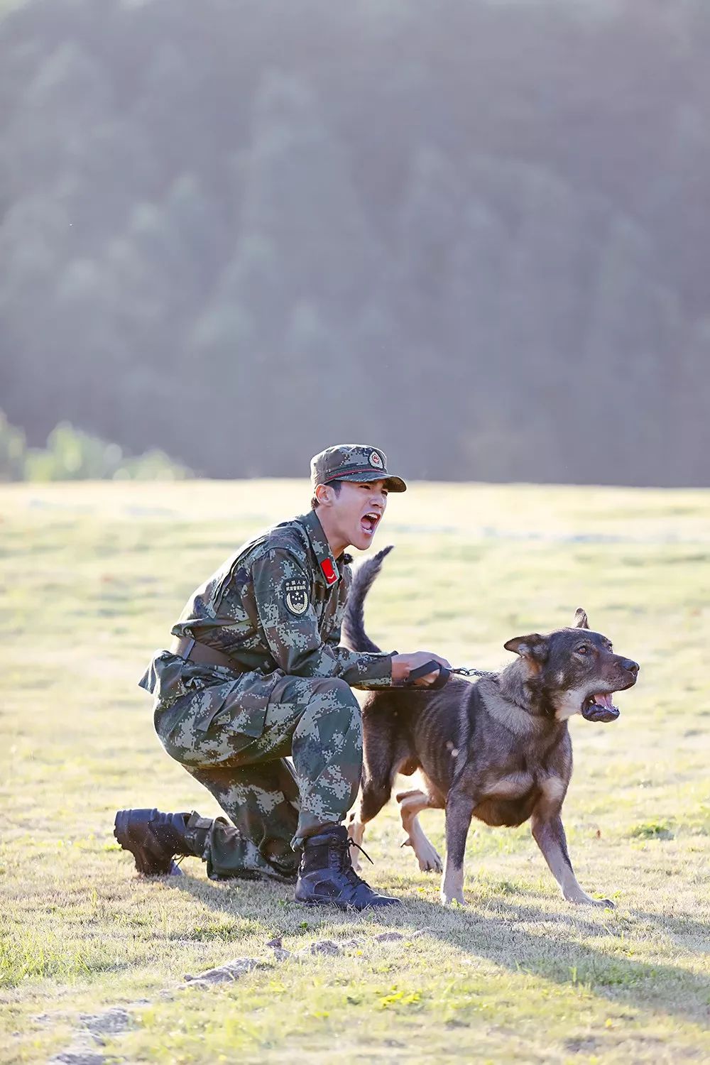 奇兵神犬综艺图片