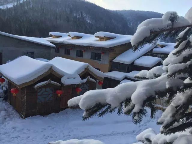 冰雪世界哈尔滨,亚布力激情滑雪,童话世界雪乡,神韵长白山,吉林雾凇