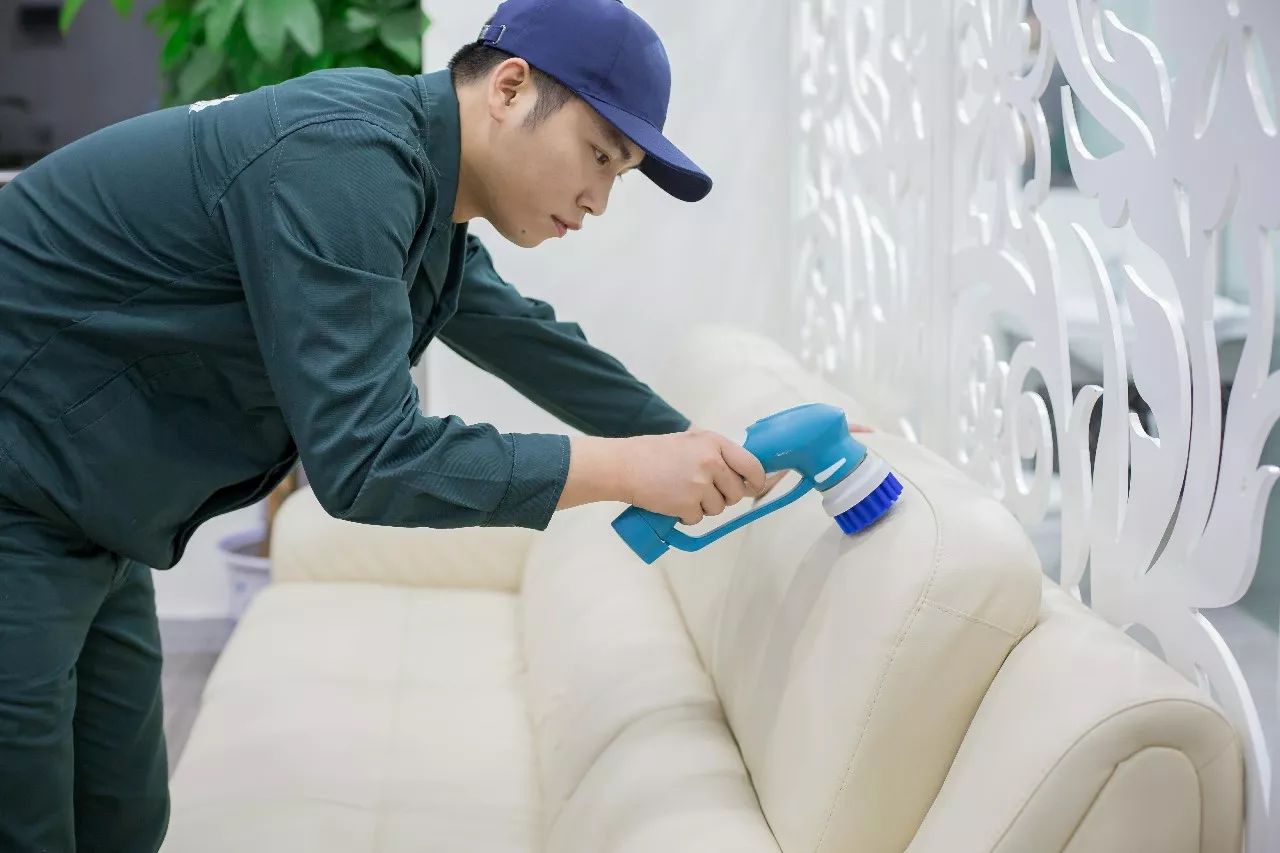 【植物园家政服务】沙发清洗与上光保养