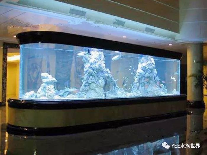 养鱼有道水族箱材质有玻璃和亚克力哪一种好