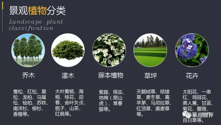 深度解析园林景观植物配置