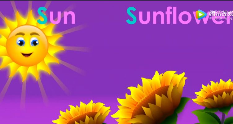 太阳 sun向日葵 sunflower水龙头 tap浴缸 tub叔叔 uncle雨伞