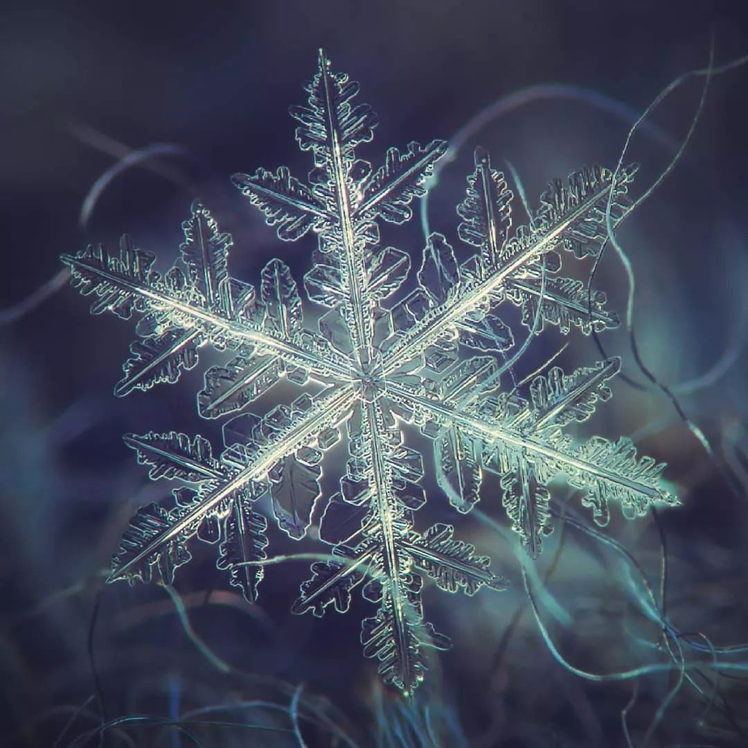 雪花长什么样子画面图片