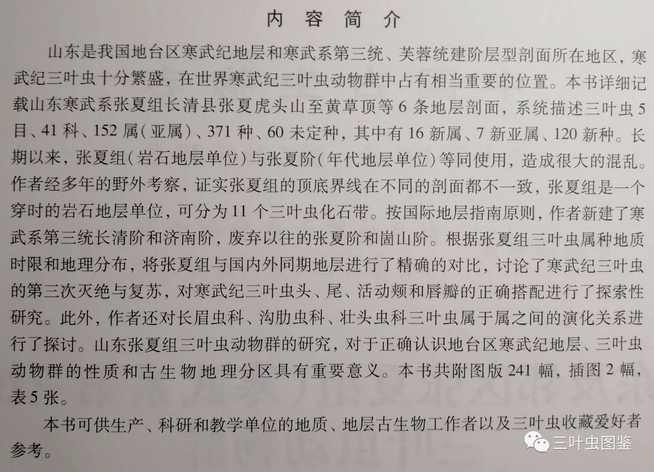 三叶虫介绍图片