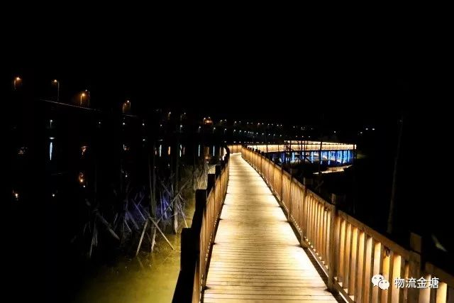 金塘大桥夜景图片