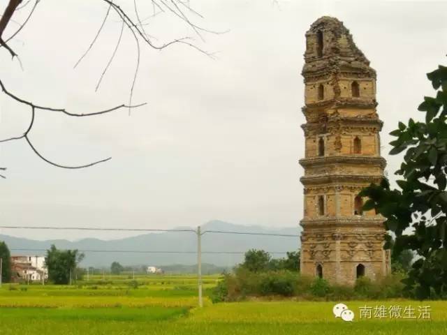 溪塘村附近的塔子下有岩石,色浅赭,质优良,可雕刻,称为"溪塘石.