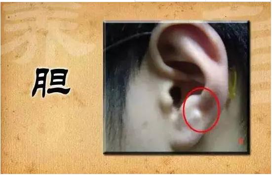 中医诊断如何通过耳朵来诊断健康