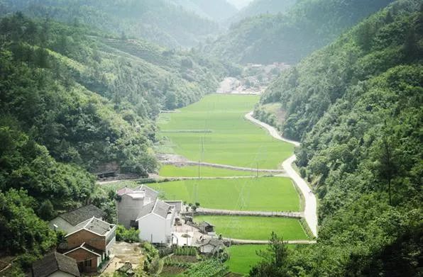 湖北每日一景走进南潭生态文化旅游区