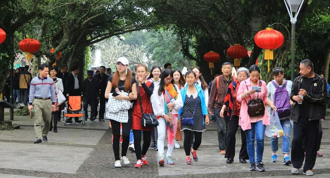 海口旅游人口_海南不容小觑的三线城市,人口是全省第一,人口经济实力超过三