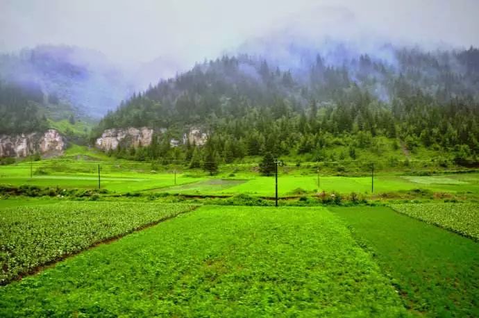 【週末朗誦會】童聲誦讀|山雨