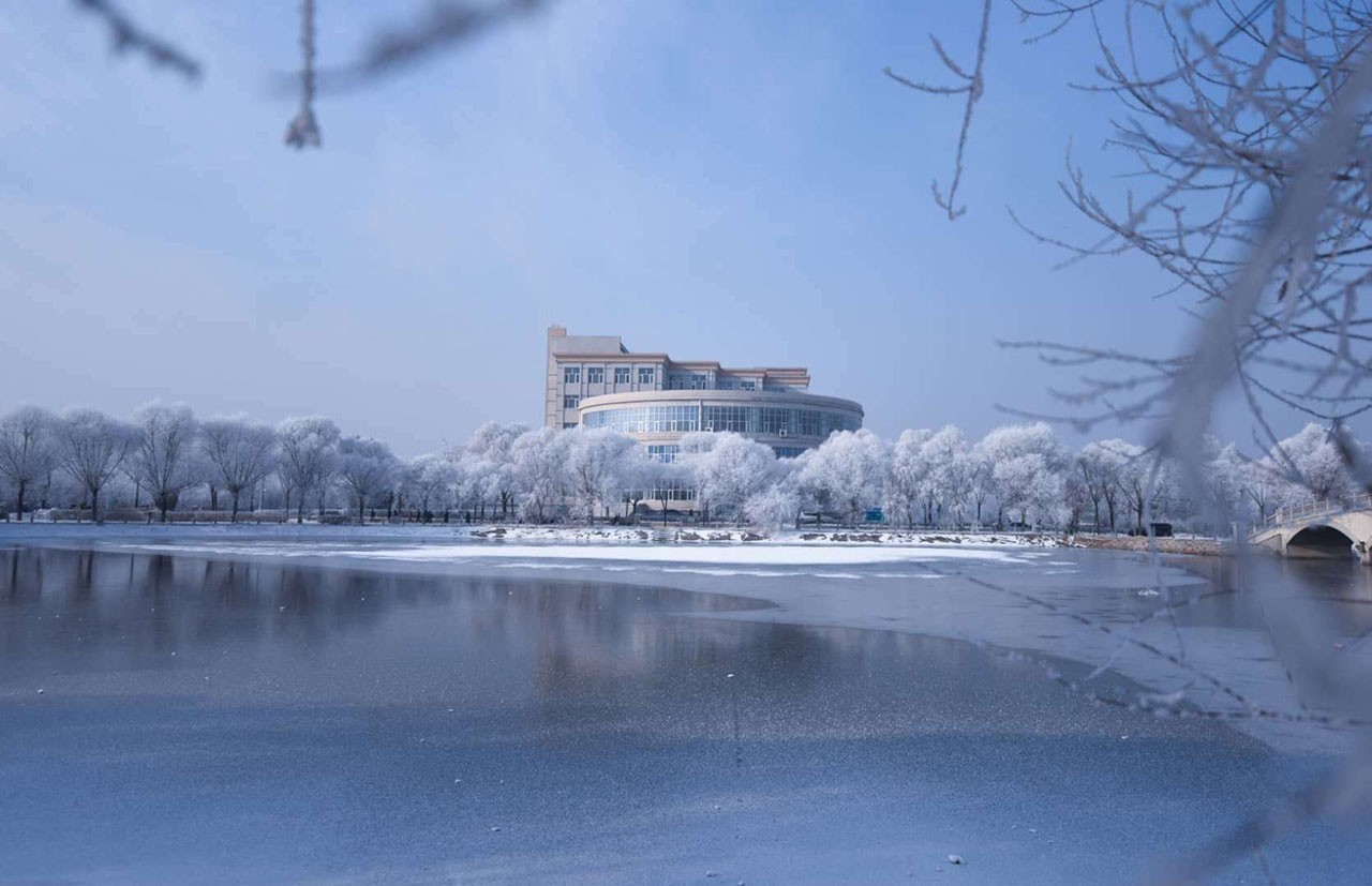 哈尔滨师范大学图 / 梁桓 杨令臻 张启凯文 / 金杰超一一2017年的冬日