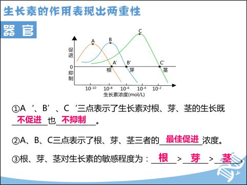 1 反射弧相关判断 1 生长素的两重性 1 j型曲线 2 s型曲线