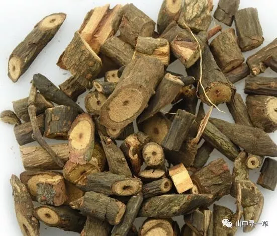 钻骨风这种中药材出产于中国的四川和贵州以及云南一带