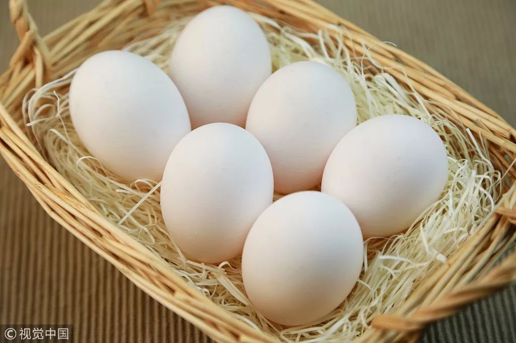 白皮鸡蛋和红皮鸡蛋到底有什么区别?终于明白了!