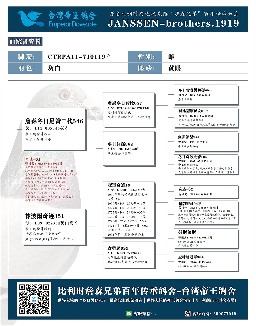 此鸽血统书此鸽血统书联系方式此鸽父亲此鸽祖父此鸽外祖父种鸽3环号