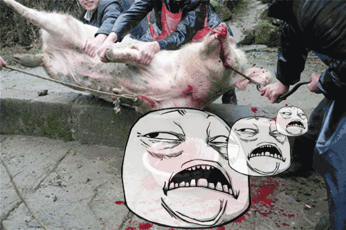 杀猪gif 动态图图片