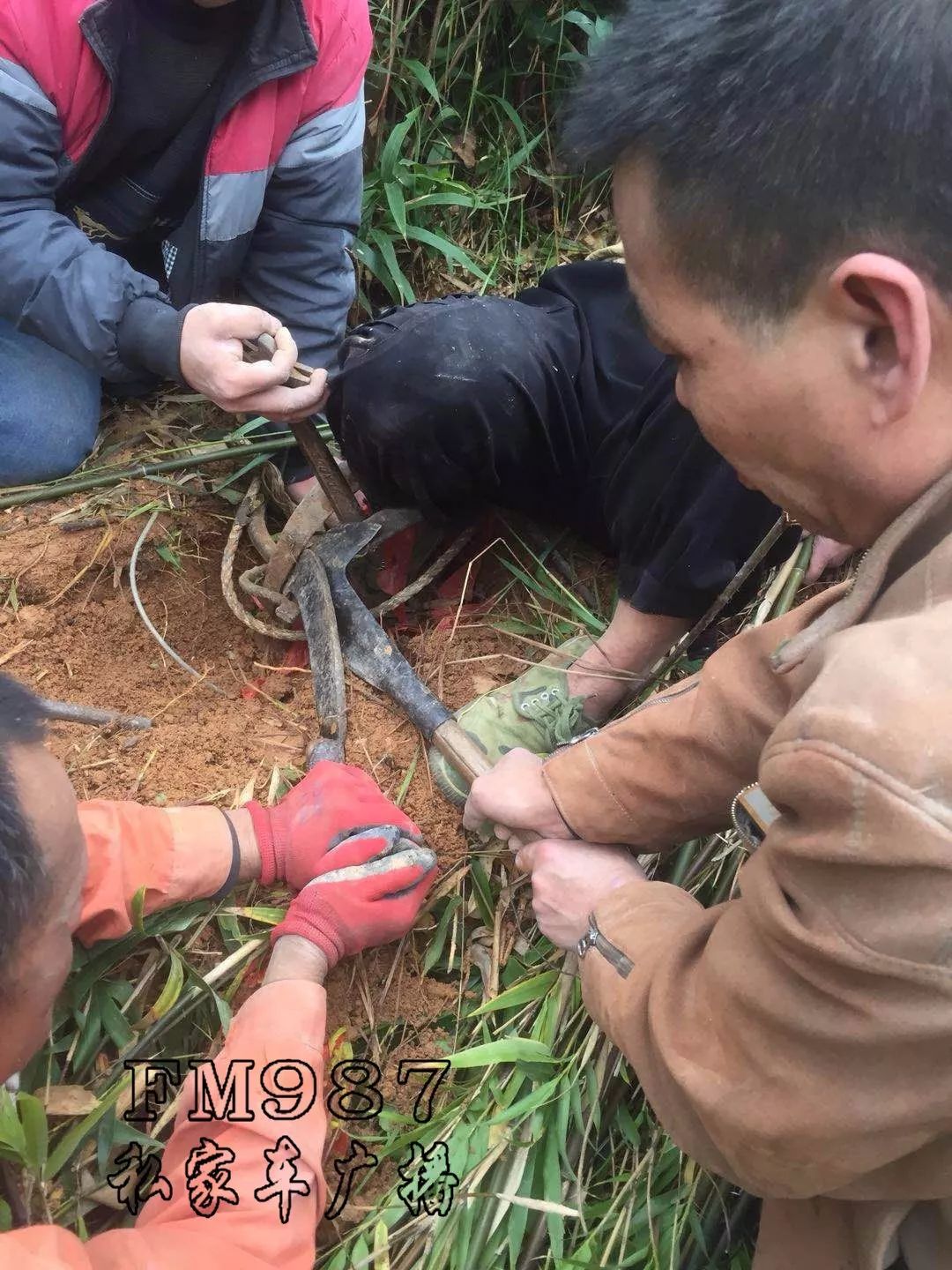 一名村民(女)在山上劳作时踩入一处野猪夹陷阱,致使右脚被死死地夹住