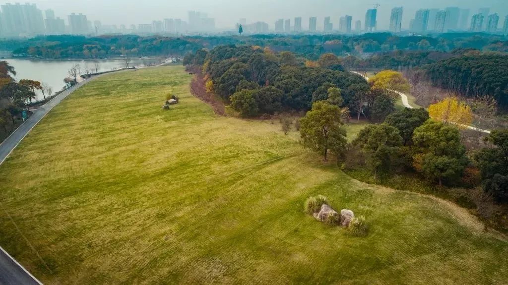 剛剛,崑山人心心念唸的森林公園開園啦!如此逆天的美圖,你一定沒見過