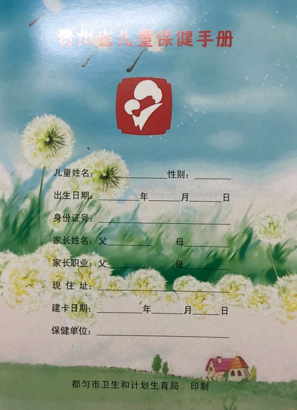 《孕产妇保健手册》(从孩子出生前到6岁,都会记录在案