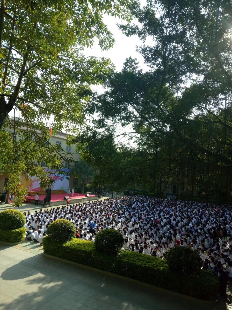 点赞莲下这所小学的学生不得了上了大舞台展示自己的才能