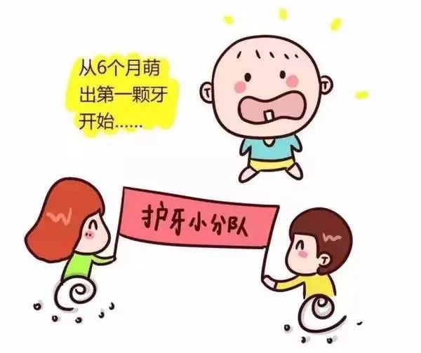 ▼而且每顆乳牙的換牙時間都不同▼基本在2歲半之前全部長齊你知道嗎?