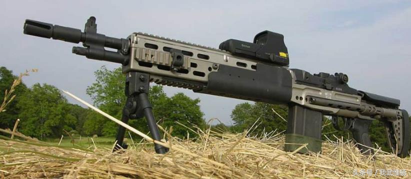 M14EBRM14增强型战斗步枪图片