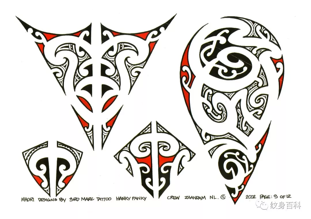 毛利图腾纹身手稿图片