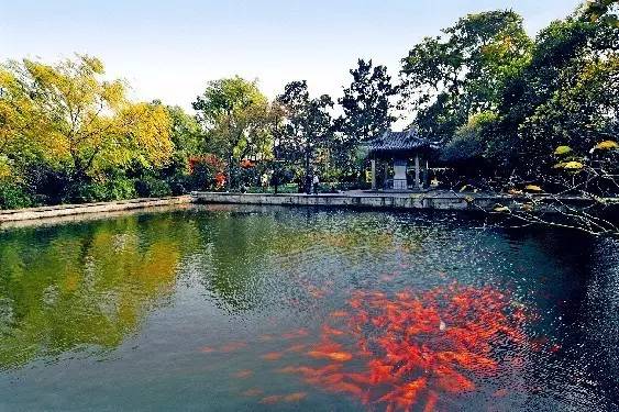 花港觀魚麴院風荷斷橋殘雪關於西湖十景,有許多不同的說法,但最被廣大