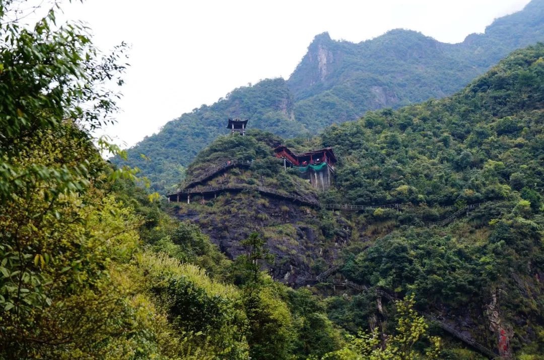 243天免費!今年去衢州可繼續免票旅遊!衢州全年旅行攻略請收好!