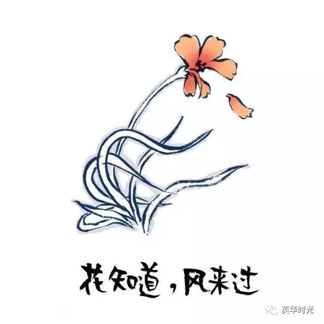 寫給70後2018願你出走半生歸來仍是少年