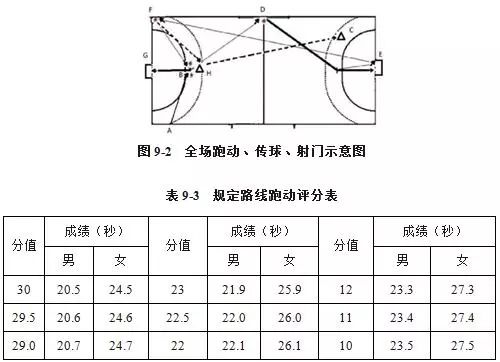 手球标准尺寸图图片